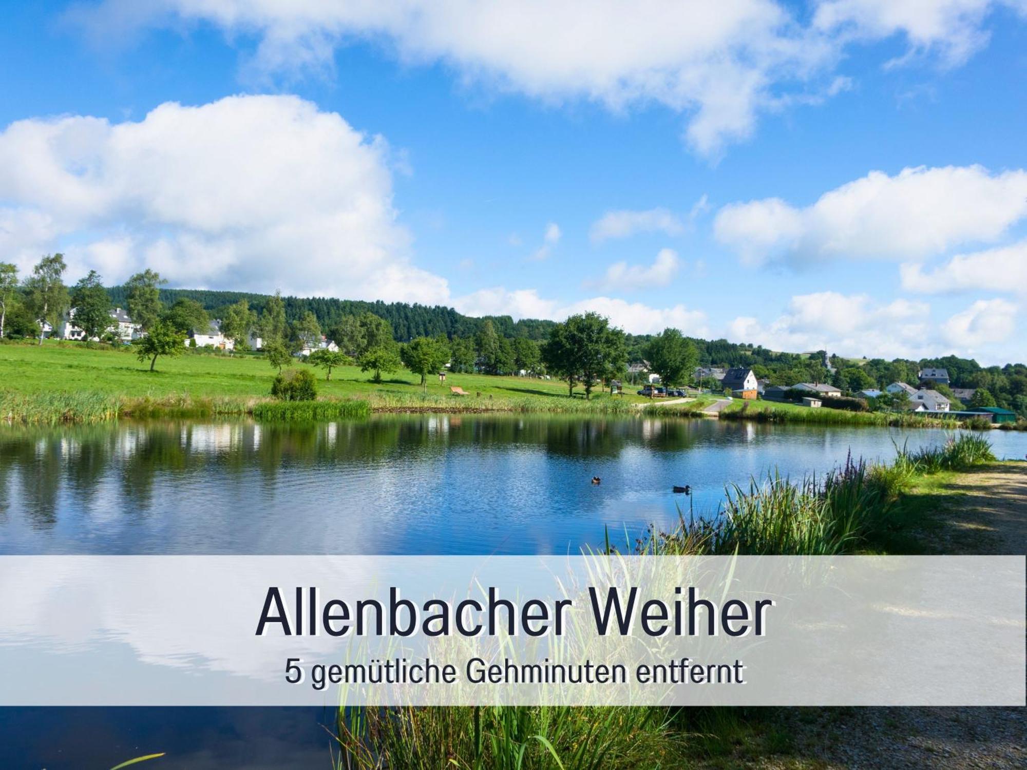 4 Sterne Ferienhaus "Zum Weiher" Allenbach Extérieur photo